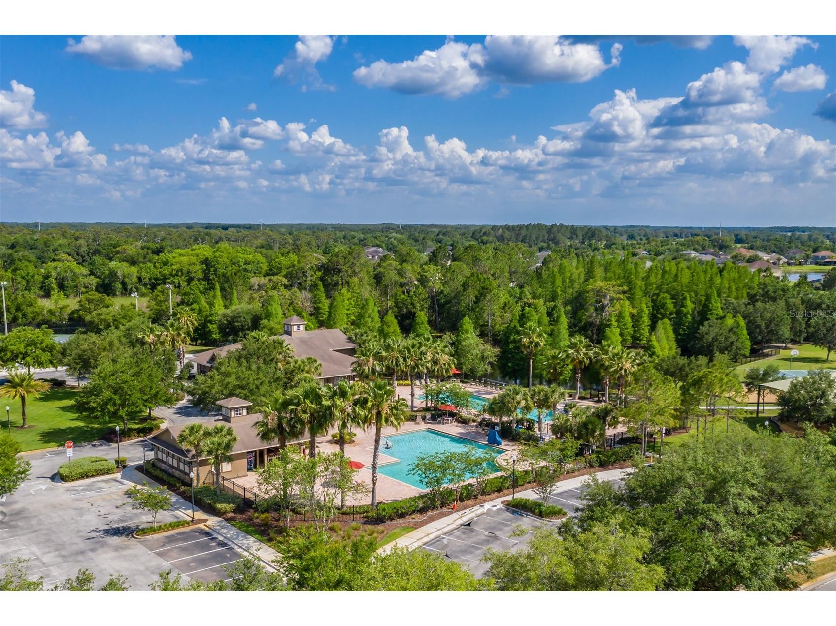 4950 Diamonds Palm Wesley Chapel FL 33543 TB8467939 image58