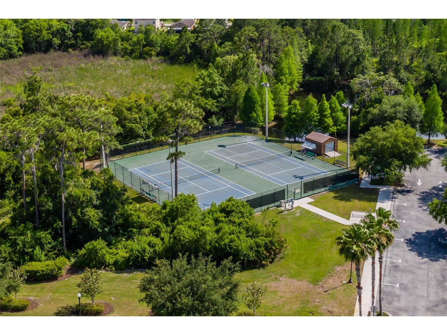 4950 Diamonds Palm Wesley Chapel FL 33543 TB8467939 image59