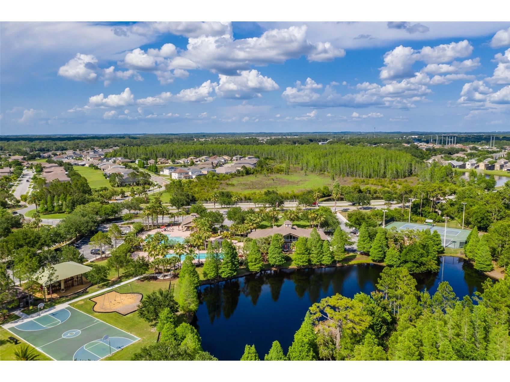 4950 Diamonds Palm Wesley Chapel FL 33543 TB8467939 image60