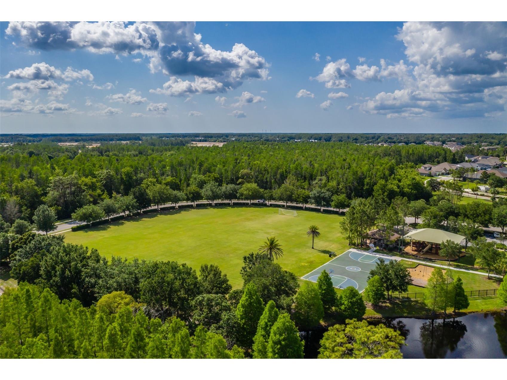 4950 Diamonds Palm Wesley Chapel FL 33543 TB8467939 image61