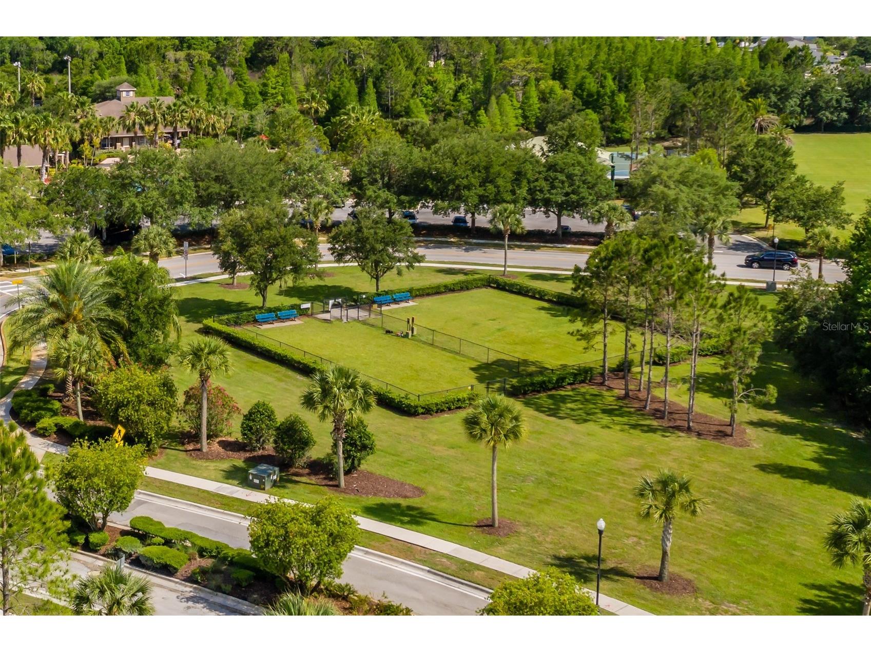 4950 Diamonds Palm Wesley Chapel FL 33543 TB8467939 image64