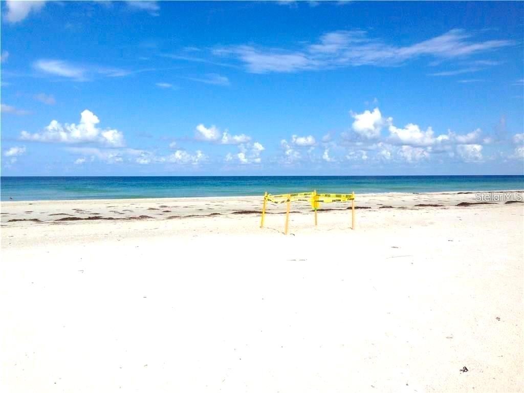 4950 Gulf Boulevard #308 Saint Pete Beach FL 33706 - GULF TB8499166 image5