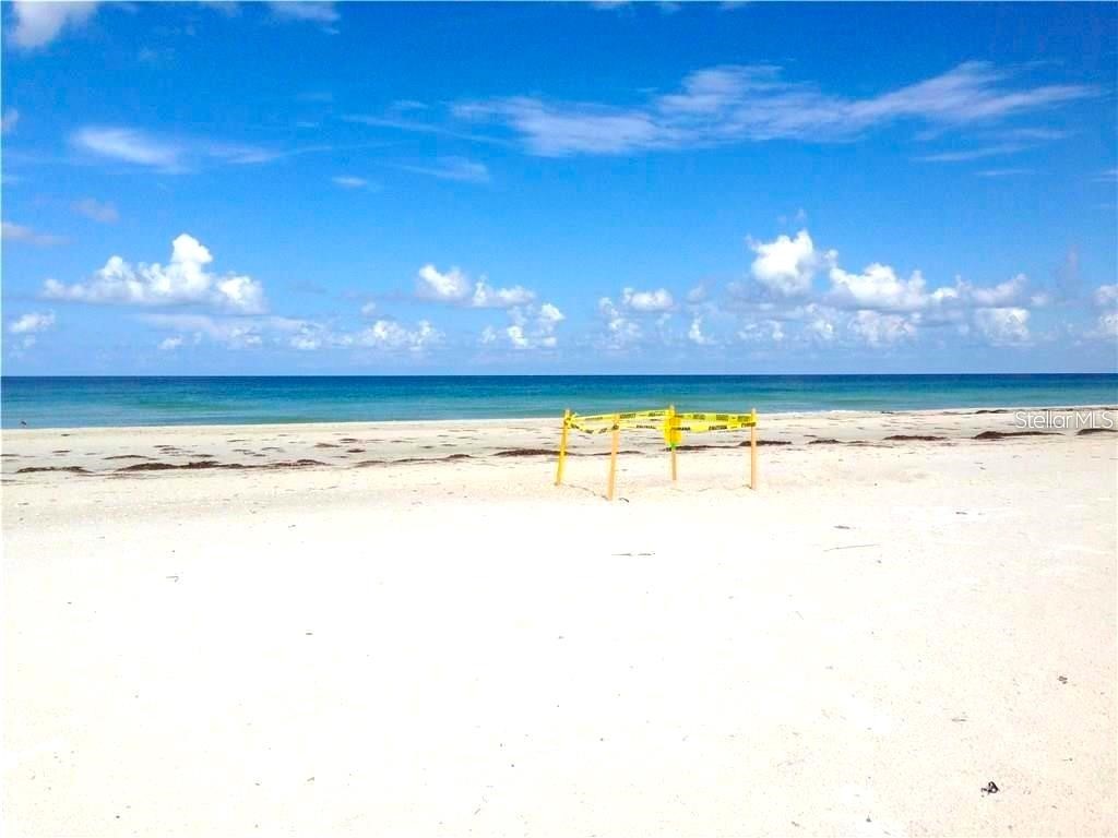 4950 Gulf Boulevard #807 Saint Pete Beach FL 33706 - GULF TB8445904 image8