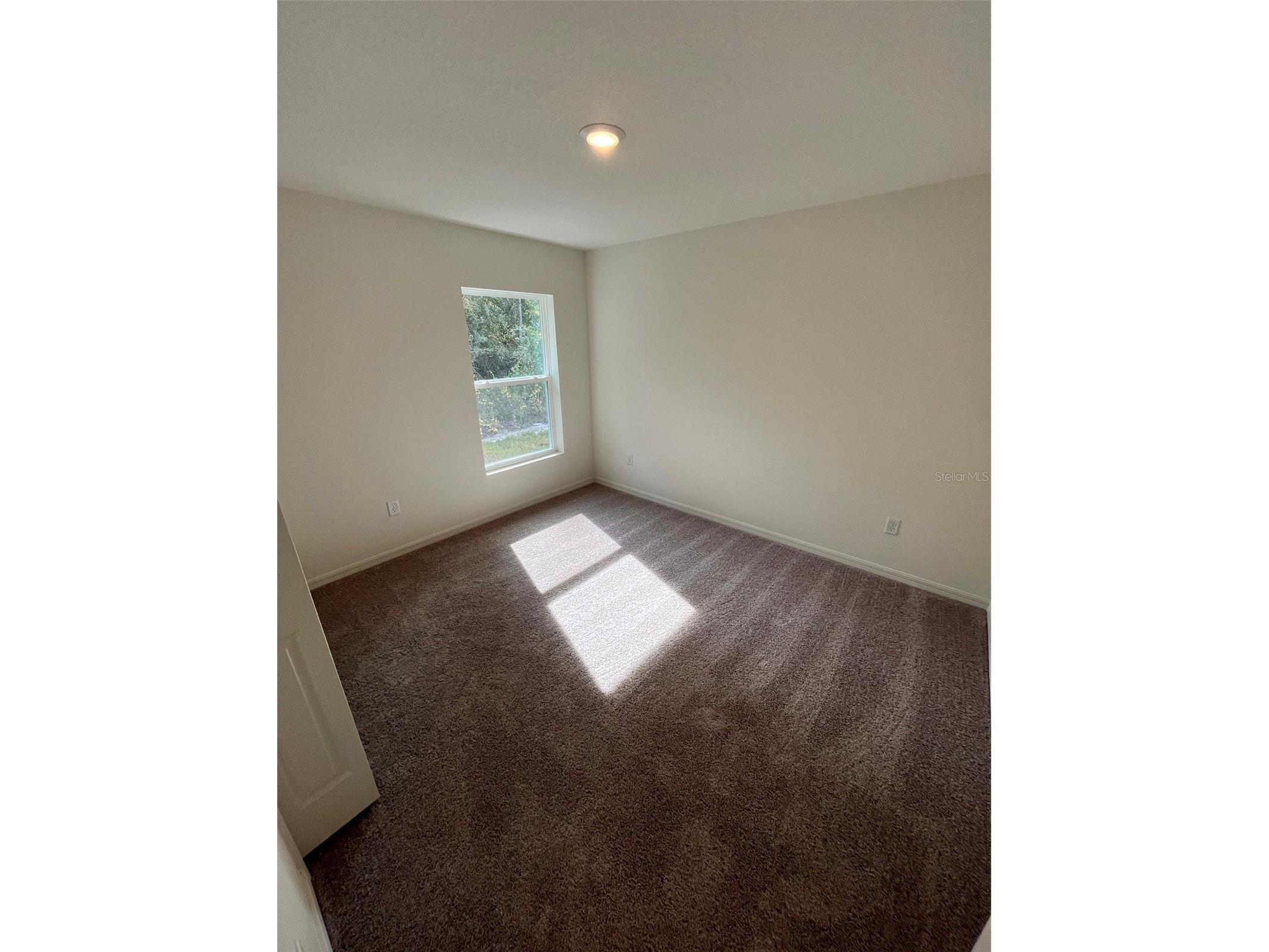 4950 Kenneth Street Hastings FL 32145 C7524737 image7