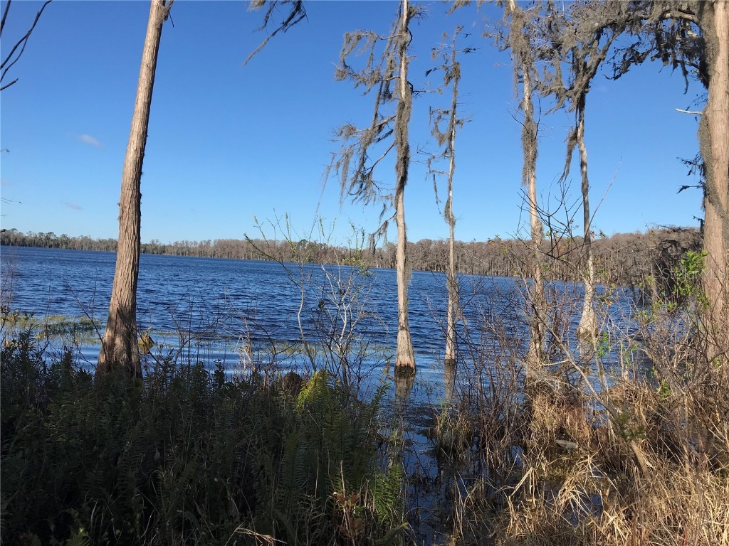 4950 N Fort Christmas Road Christmas FL 32709 - LAKE PICKETT O6176498 image1