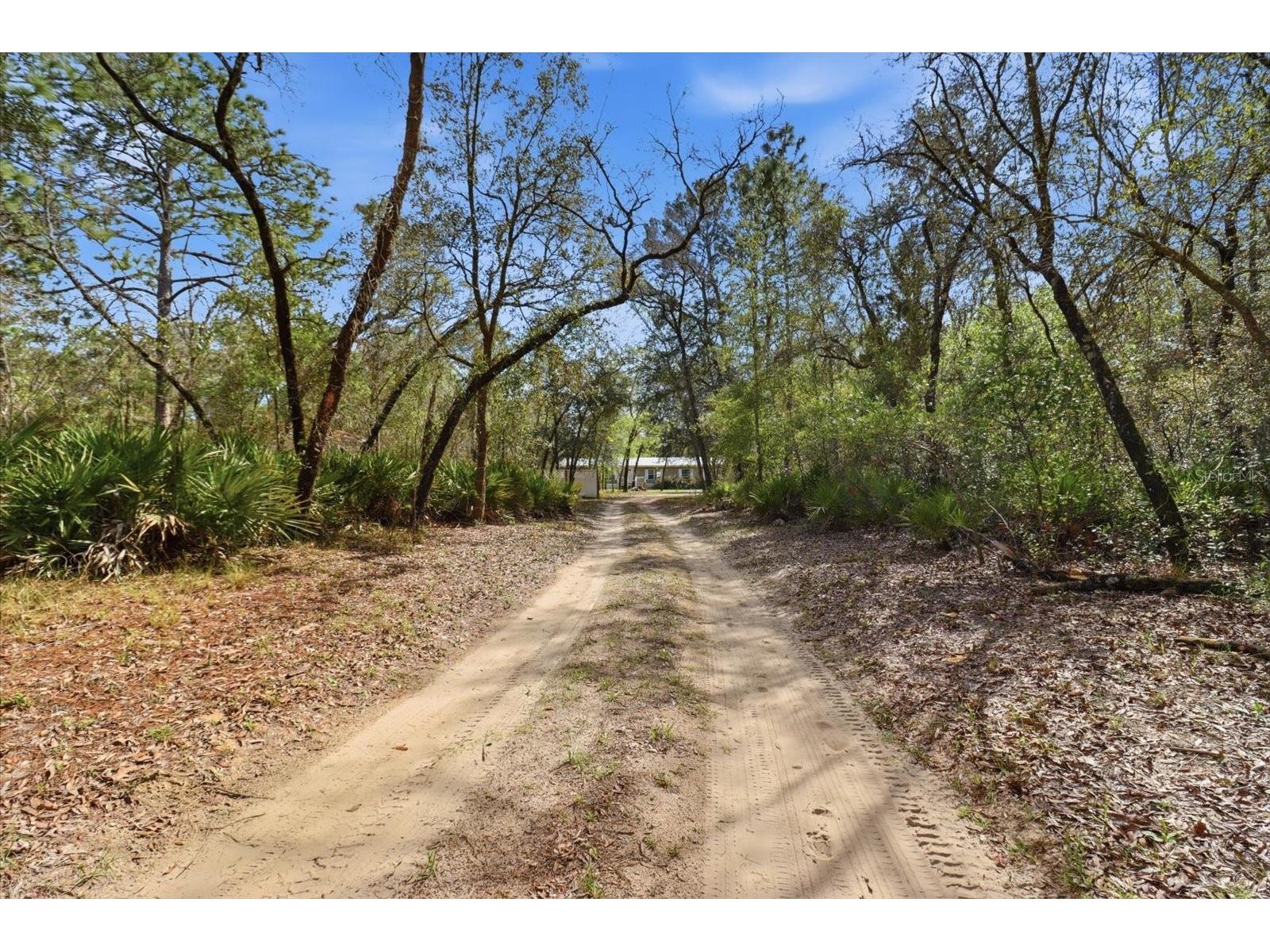 4950 W Mockingbird Street Homosassa FL 34446 OM720728 image3