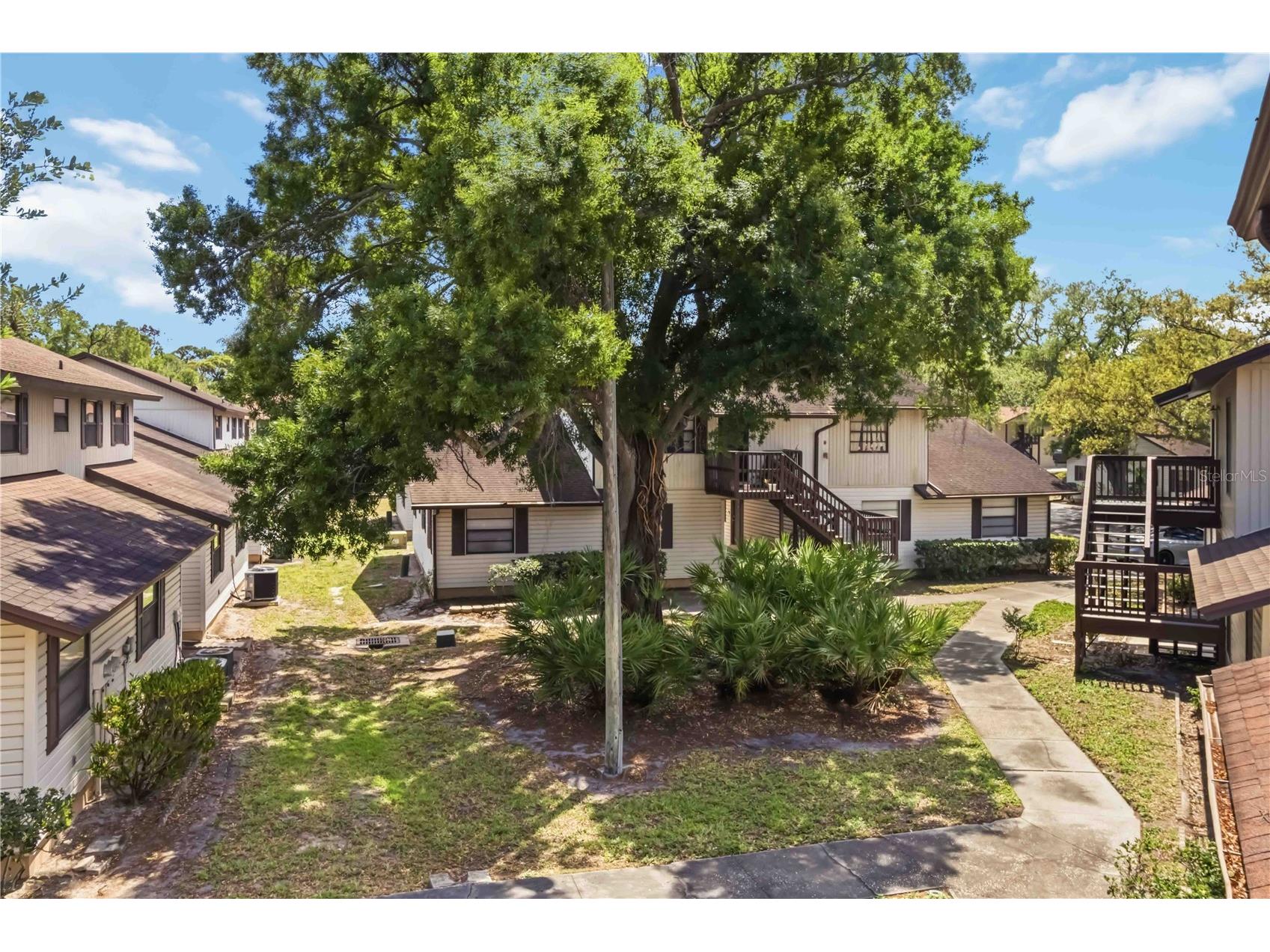 4951 91st Avenue N #33 Pinellas Park FL 33782 A4689955 image22