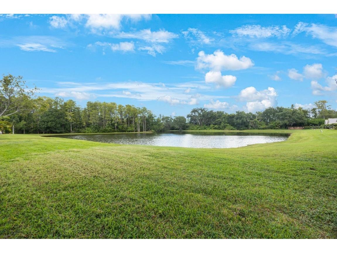 4951 Grist Mill Circle New Port Richey FL 34655 TB8427736 image3