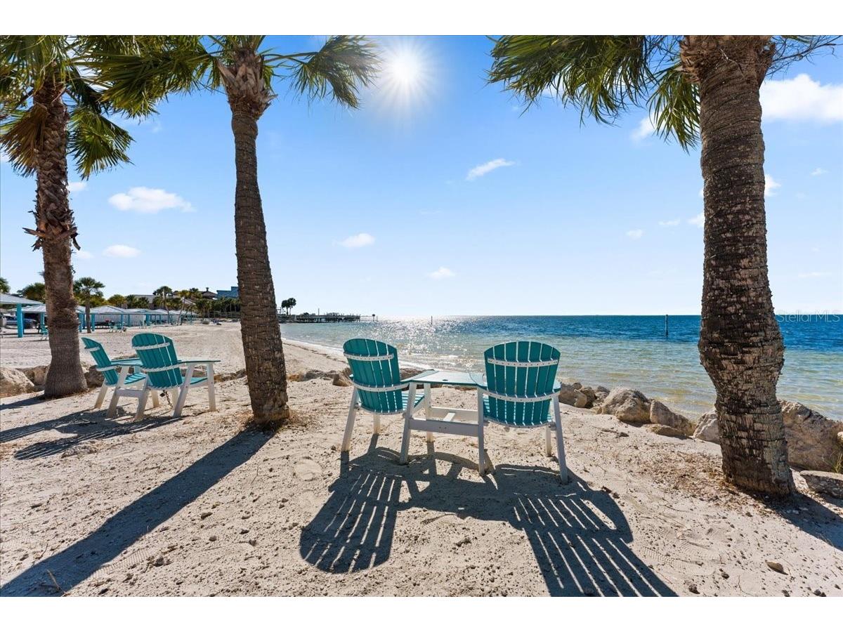 4951 Pompano Drive New Port Richey FL 34652 TB8513094 image54