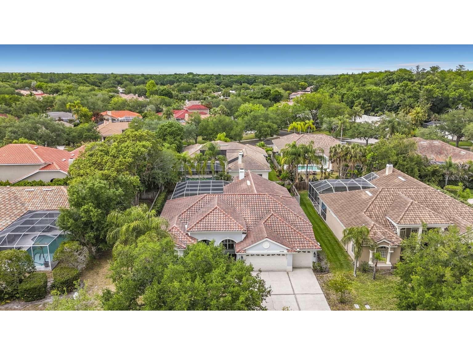 4953 Pointe Circle Oldsmar FL 34677 TB8502016 image3
