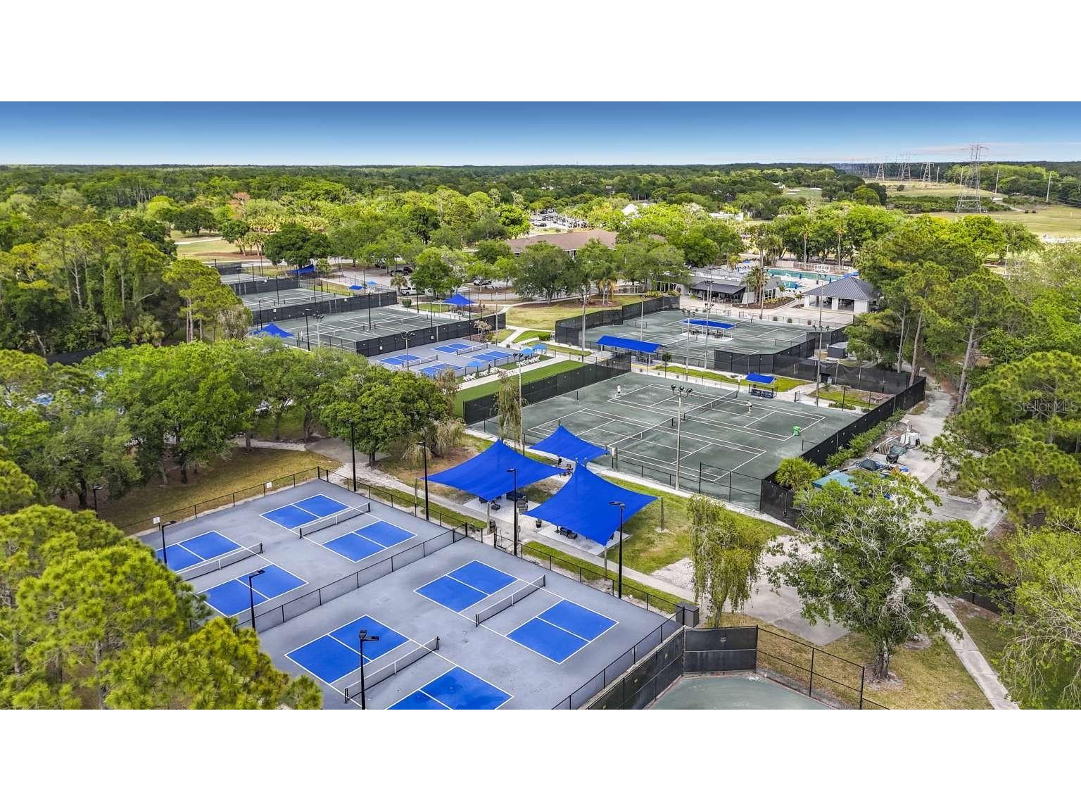 4953 Pointe Circle Oldsmar FL 34677 TB8502016 image39