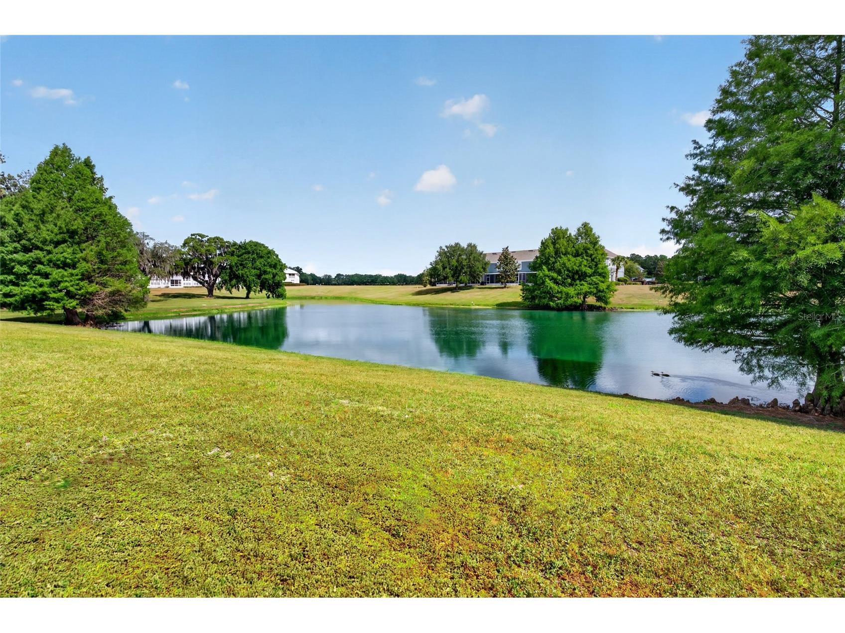 4954 SW 45th Circle Ocala FL 34474 OM723880 image21