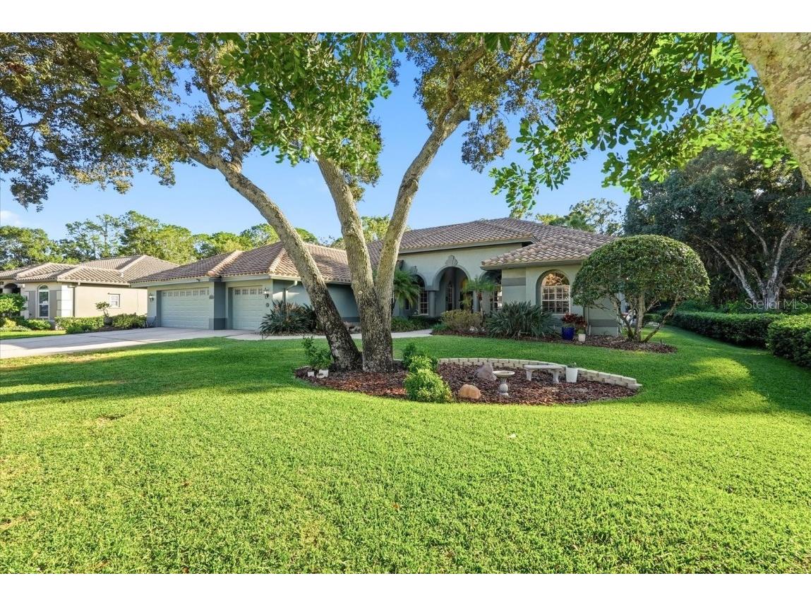 4954 Turtle Creek Trail Oldsmar FL 34677 TB8443039 image2