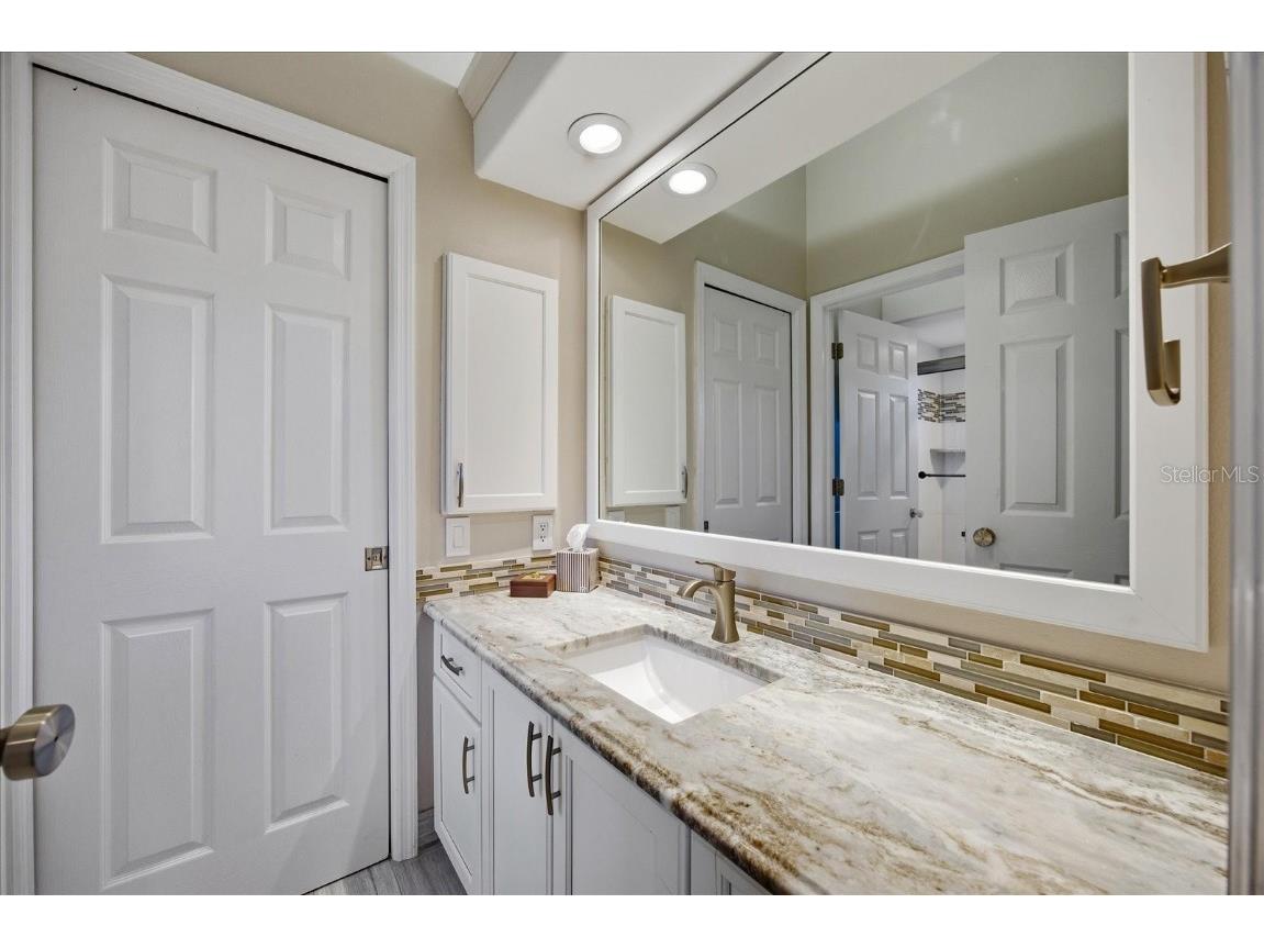 4954 Turtle Creek Trail Oldsmar FL 34677 TB8443039 image28