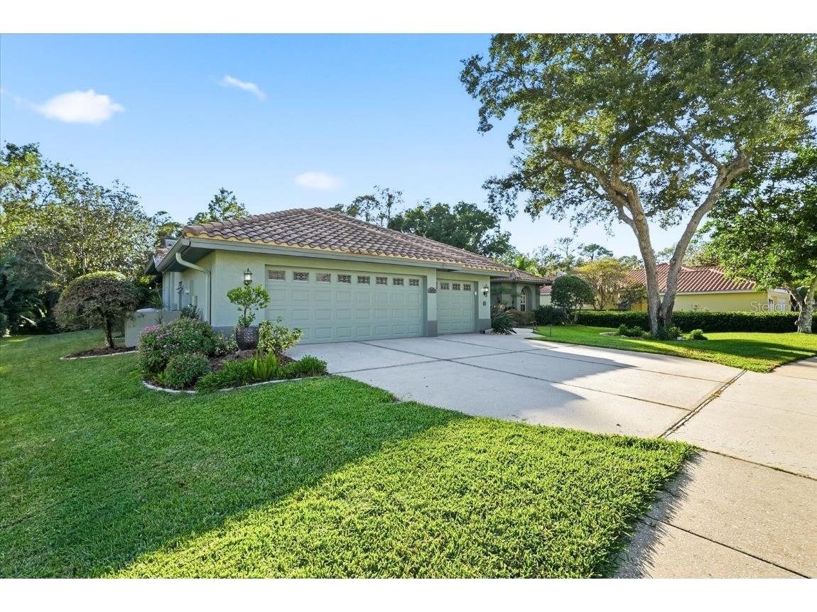 4954 Turtle Creek Trail Oldsmar FL 34677 TB8443039 image3