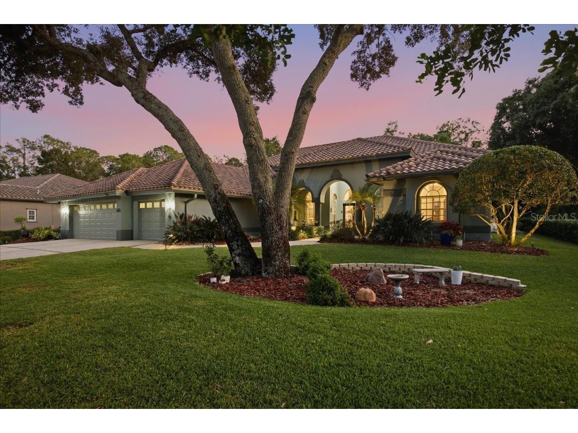 4954 Turtle Creek Trail Oldsmar FL 34677 TB8443039 image56