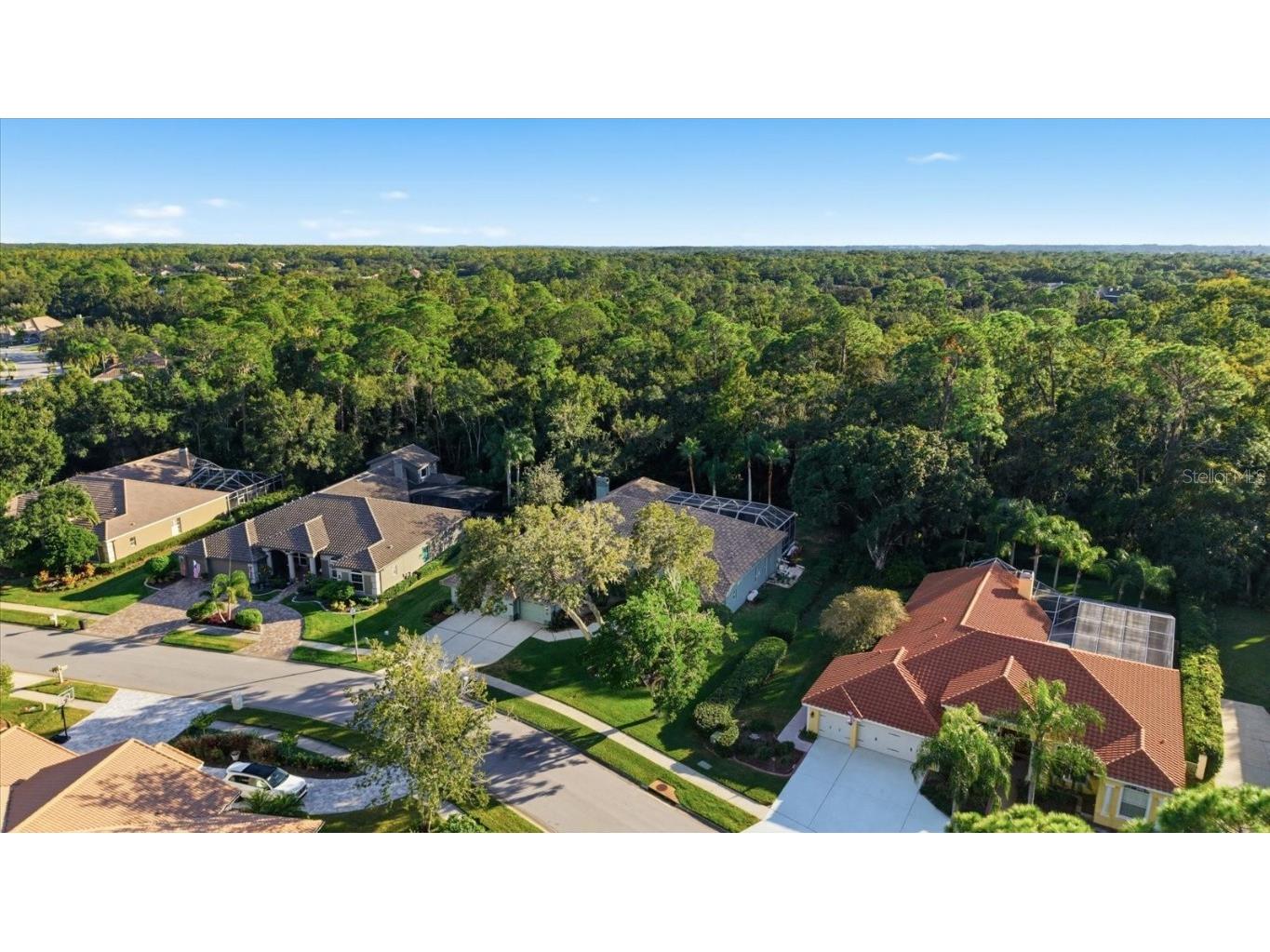 4954 Turtle Creek Trail Oldsmar FL 34677 TB8443039 image66