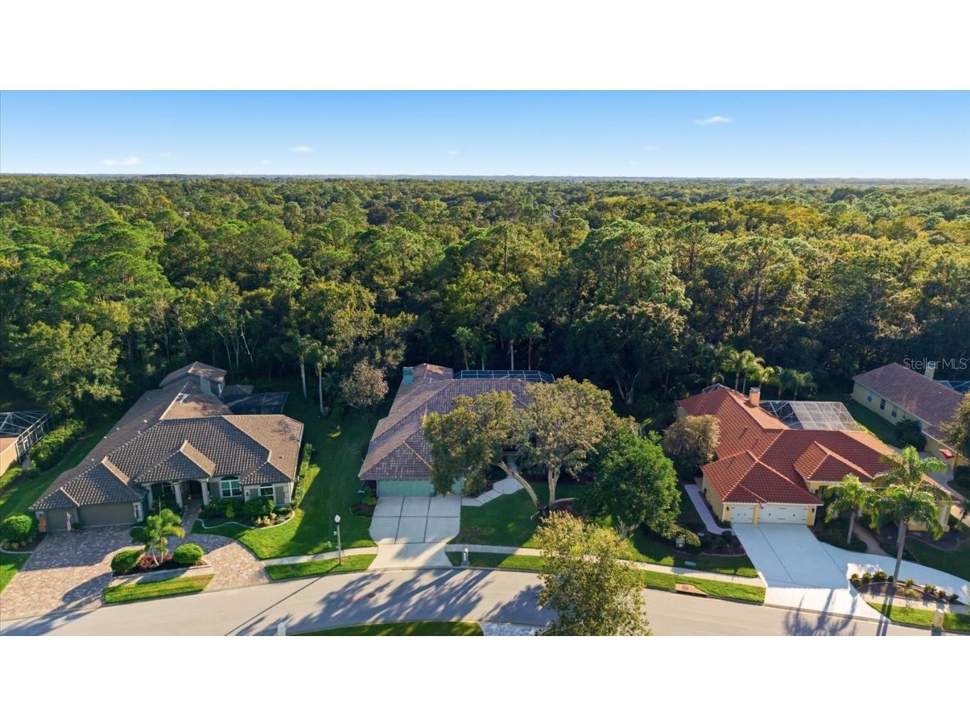 4954 Turtle Creek Trail Oldsmar FL 34677 TB8443039 image67