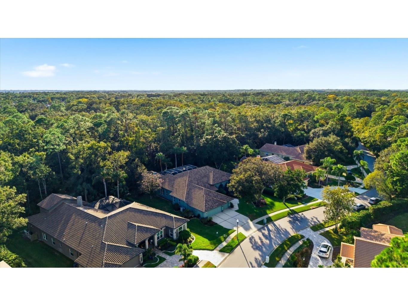 4954 Turtle Creek Trail Oldsmar FL 34677 TB8443039 image68