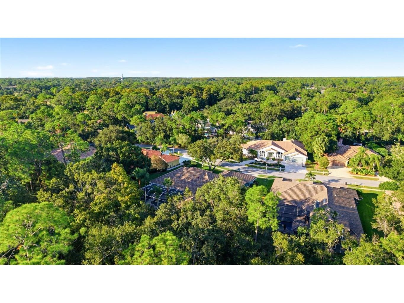 4954 Turtle Creek Trail Oldsmar FL 34677 TB8443039 image69