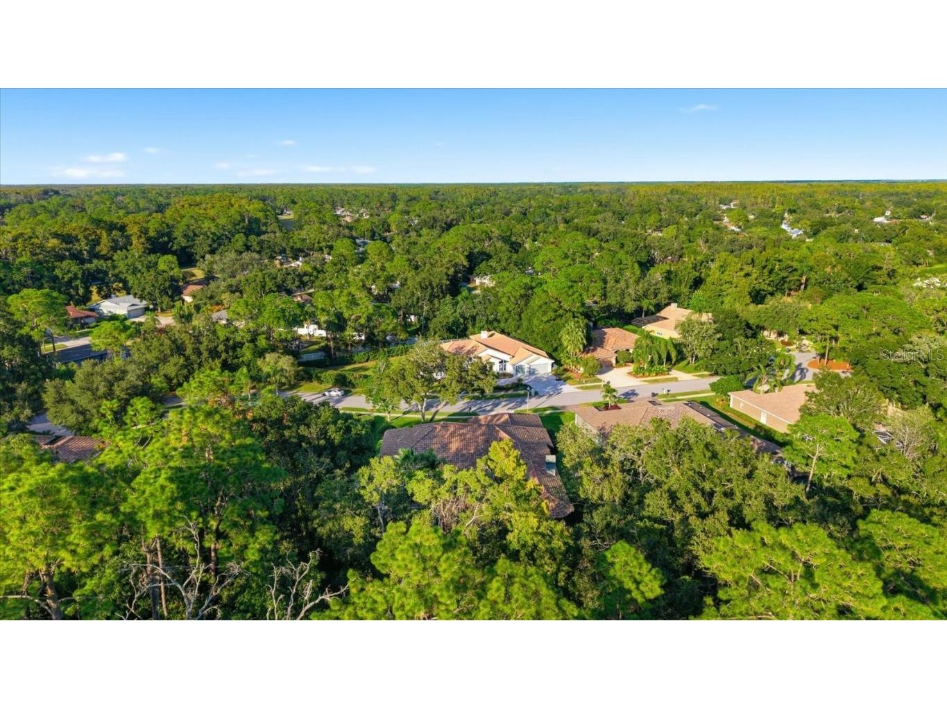 4954 Turtle Creek Trail Oldsmar FL 34677 TB8443039 image70