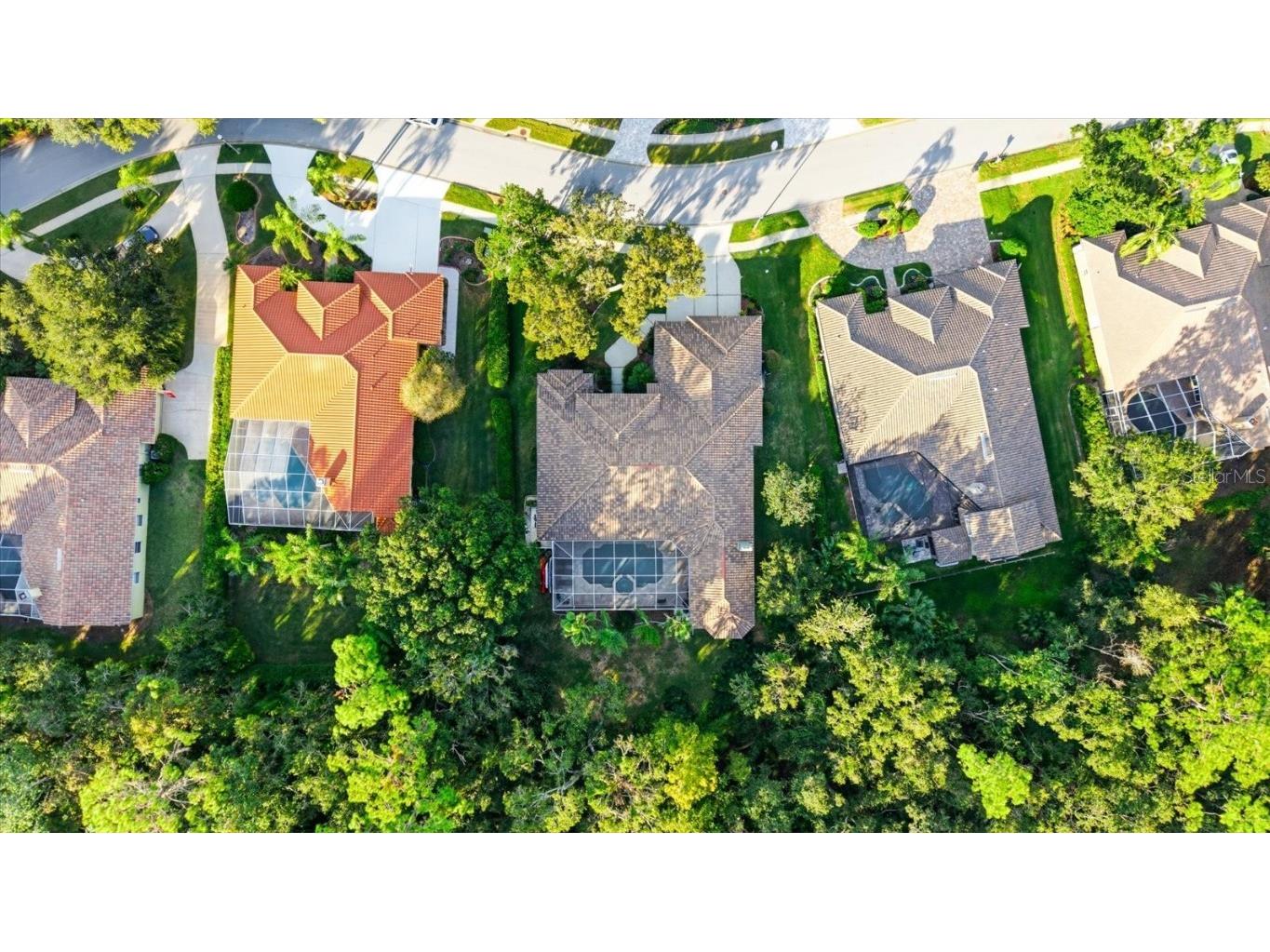 4954 Turtle Creek Trail Oldsmar FL 34677 TB8443039 image71