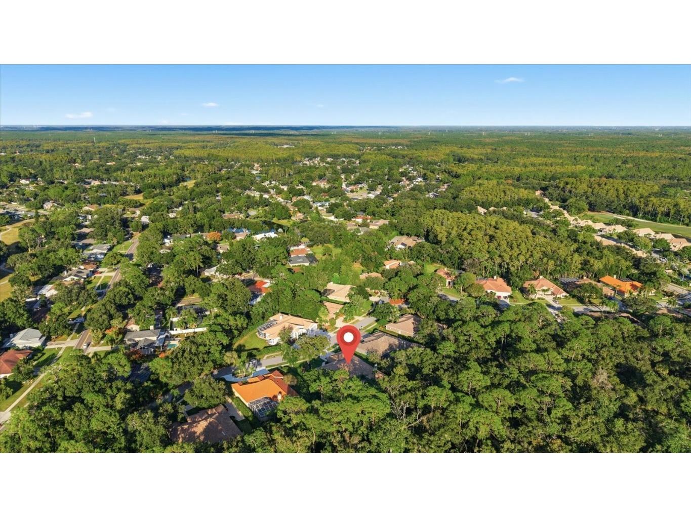 4954 Turtle Creek Trail Oldsmar FL 34677 TB8443039 image72