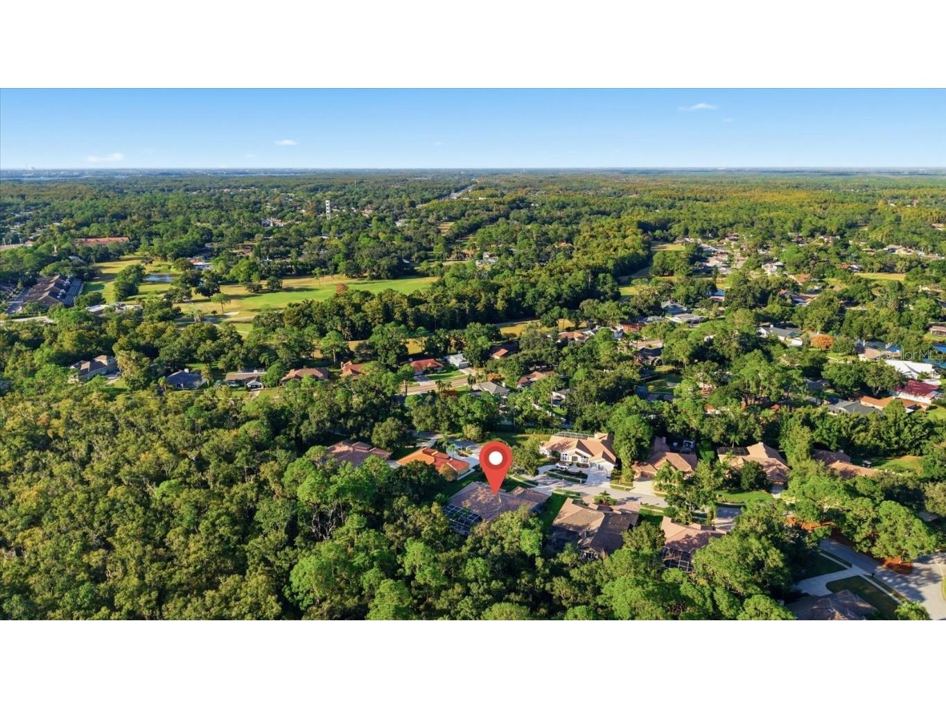 4954 Turtle Creek Trail Oldsmar FL 34677 TB8443039 image73