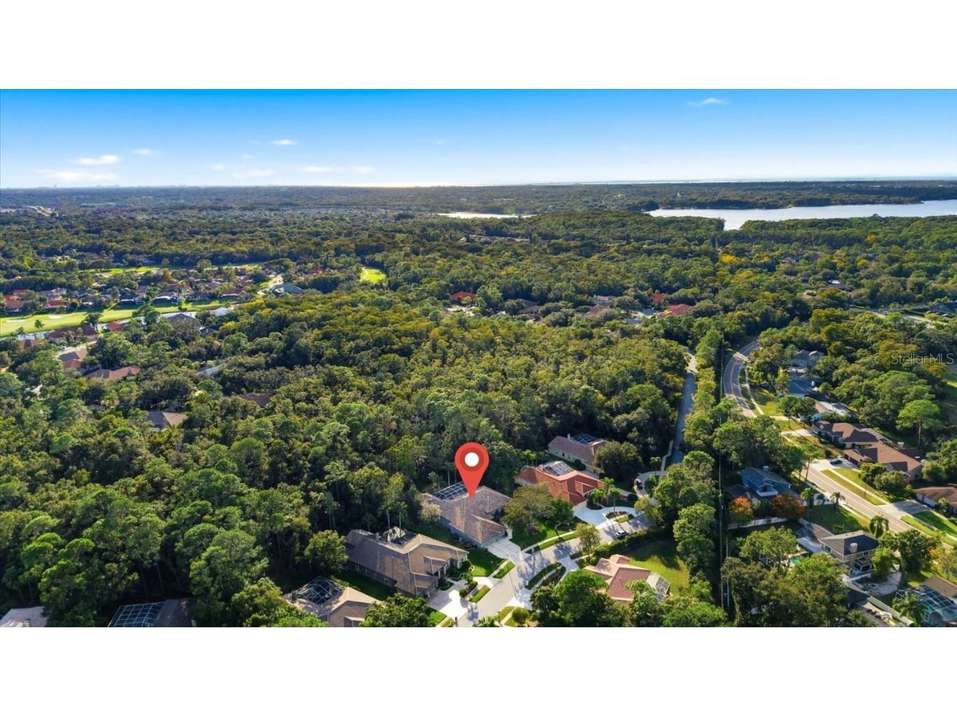 4954 Turtle Creek Trail Oldsmar FL 34677 TB8443039 image74