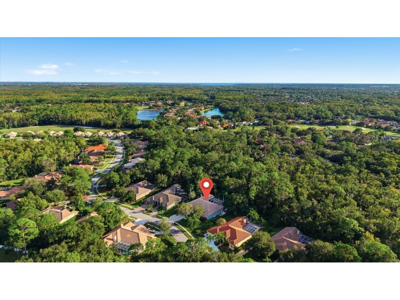 4954 Turtle Creek Trail Oldsmar FL 34677 TB8443039 image75