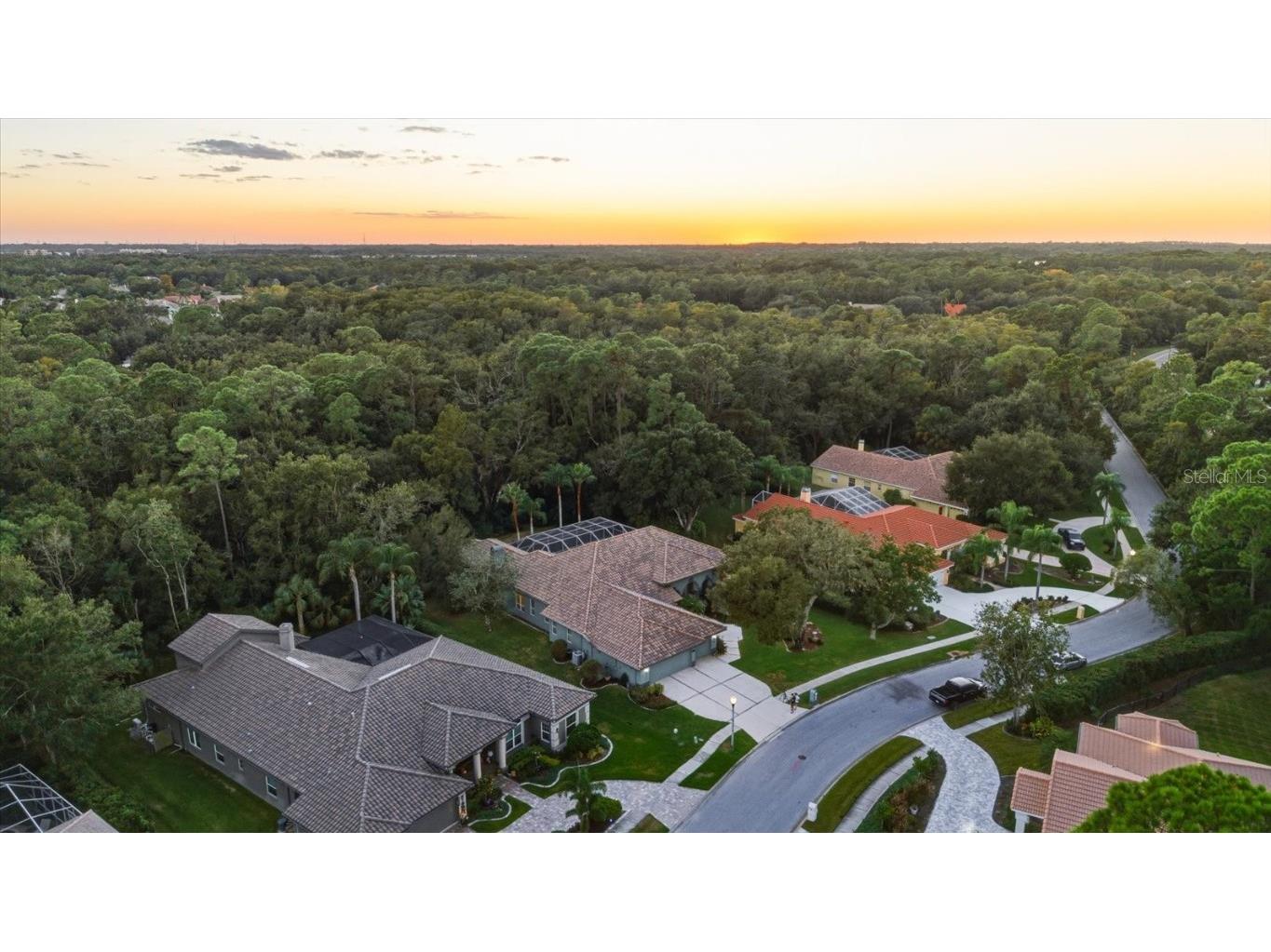 4954 Turtle Creek Trail Oldsmar FL 34677 TB8443039 image76