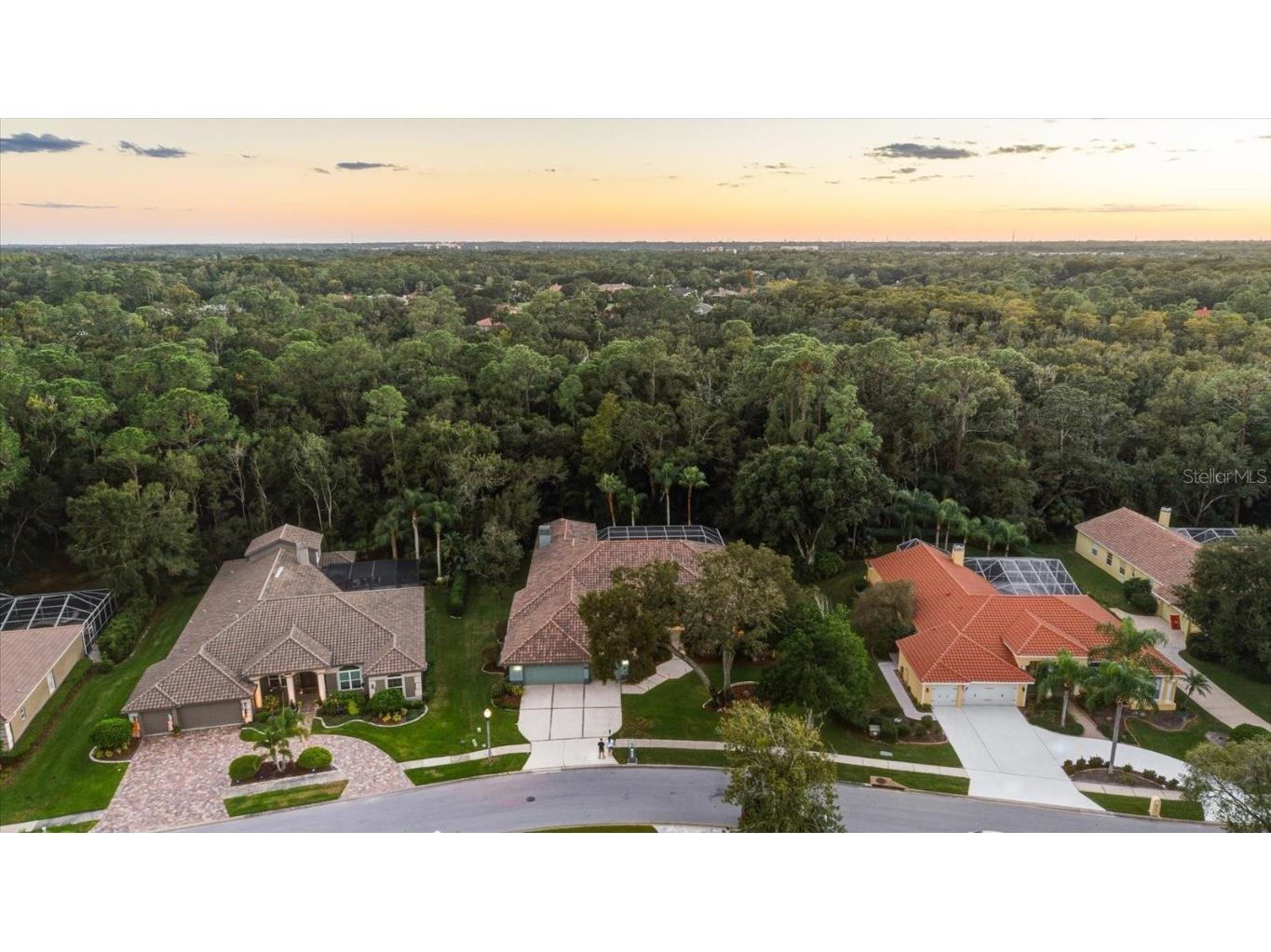 4954 Turtle Creek Trail Oldsmar FL 34677 TB8443039 image77