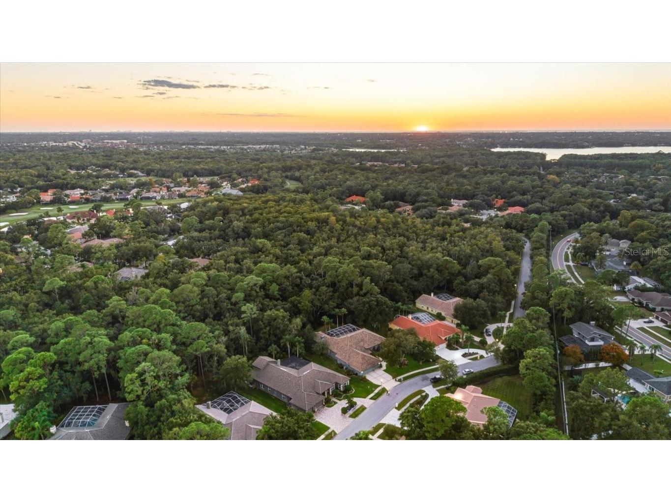 4954 Turtle Creek Trail Oldsmar FL 34677 TB8443039 image78