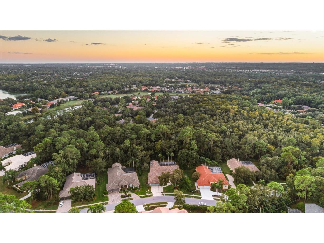 4954 Turtle Creek Trail Oldsmar FL 34677 TB8443039 image79