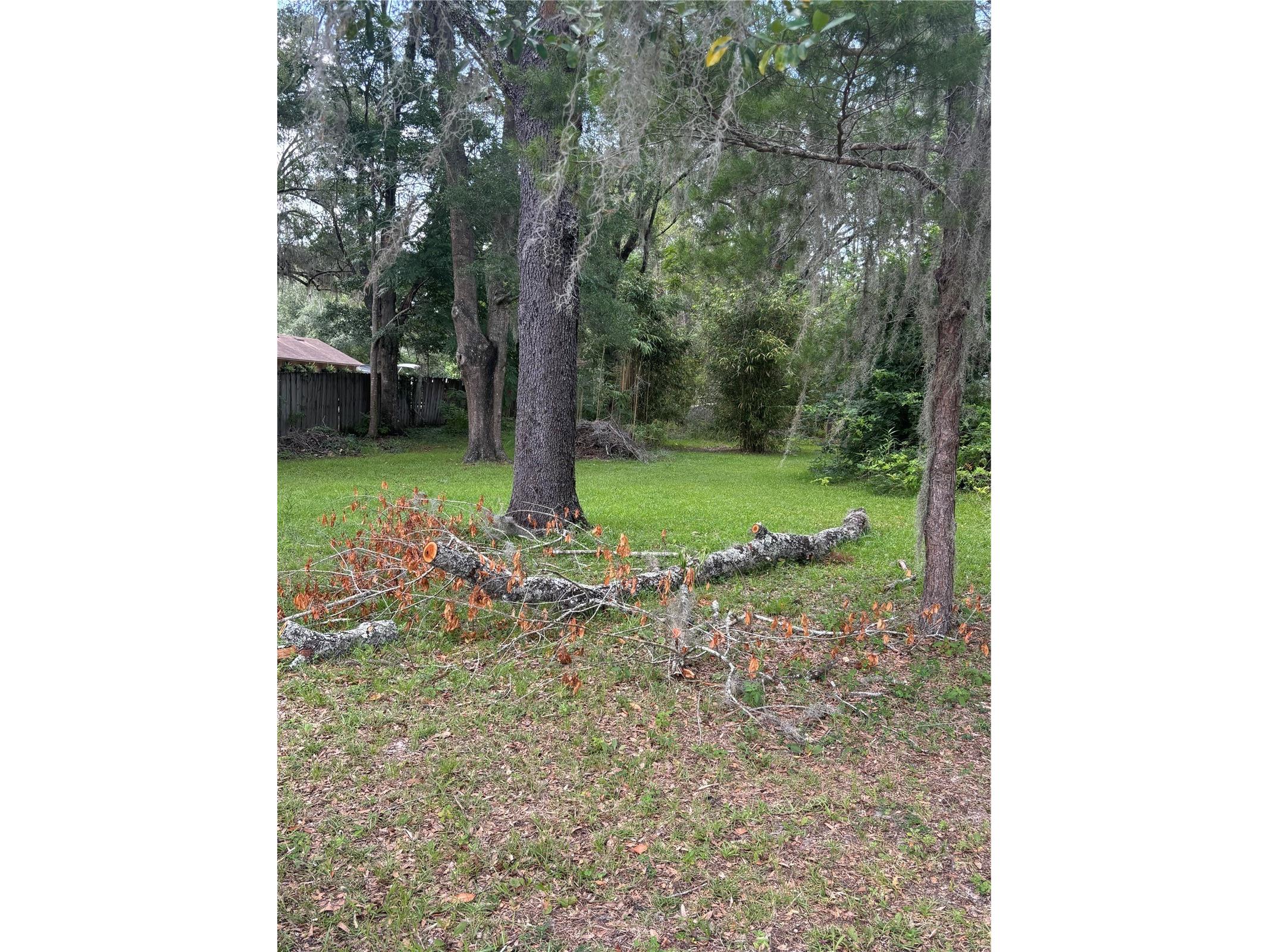 4955 SE 140th Street Summerfield FL 34491 G5113687 image3