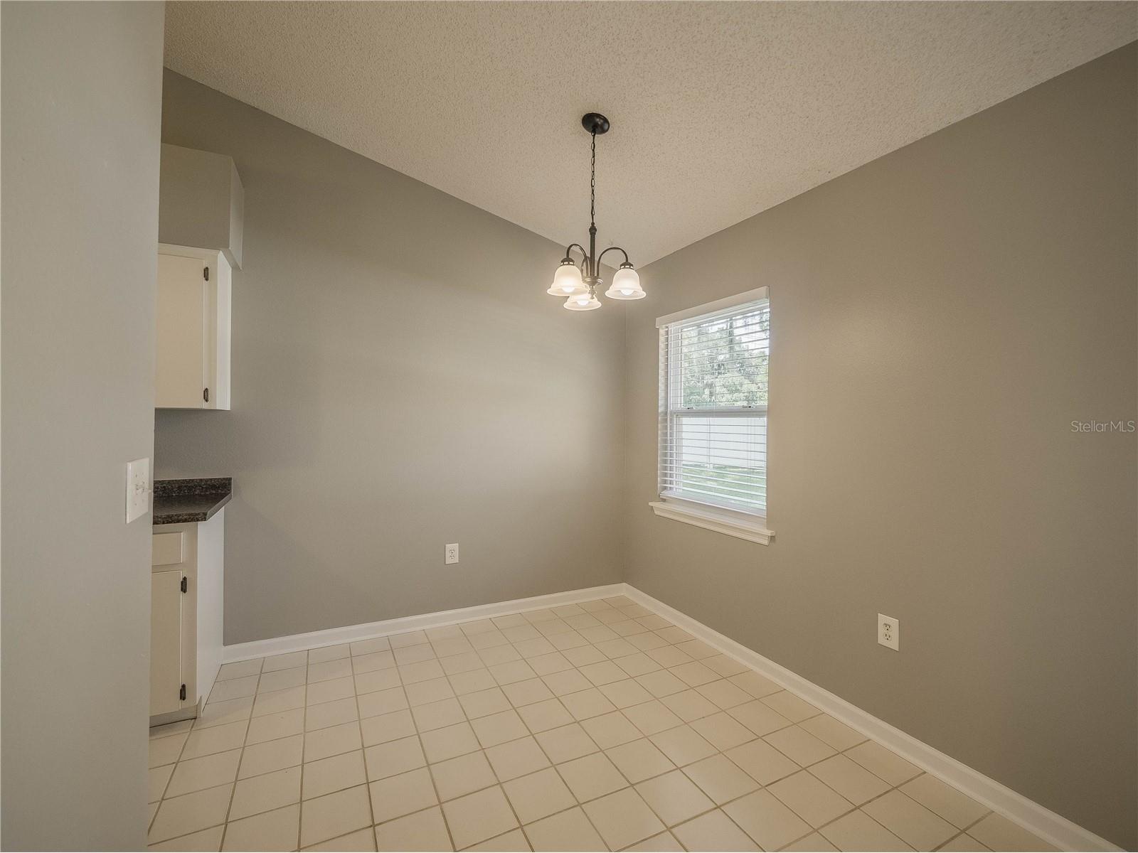4955 Wildflower Drive Lakeland FL 33811 L4960278 image7