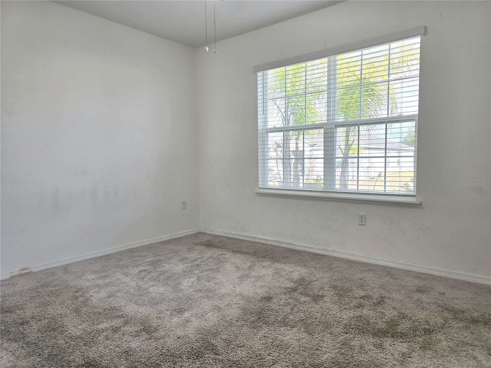 4956 Jackson Street Winter Haven FL 33884 P4937828 image23