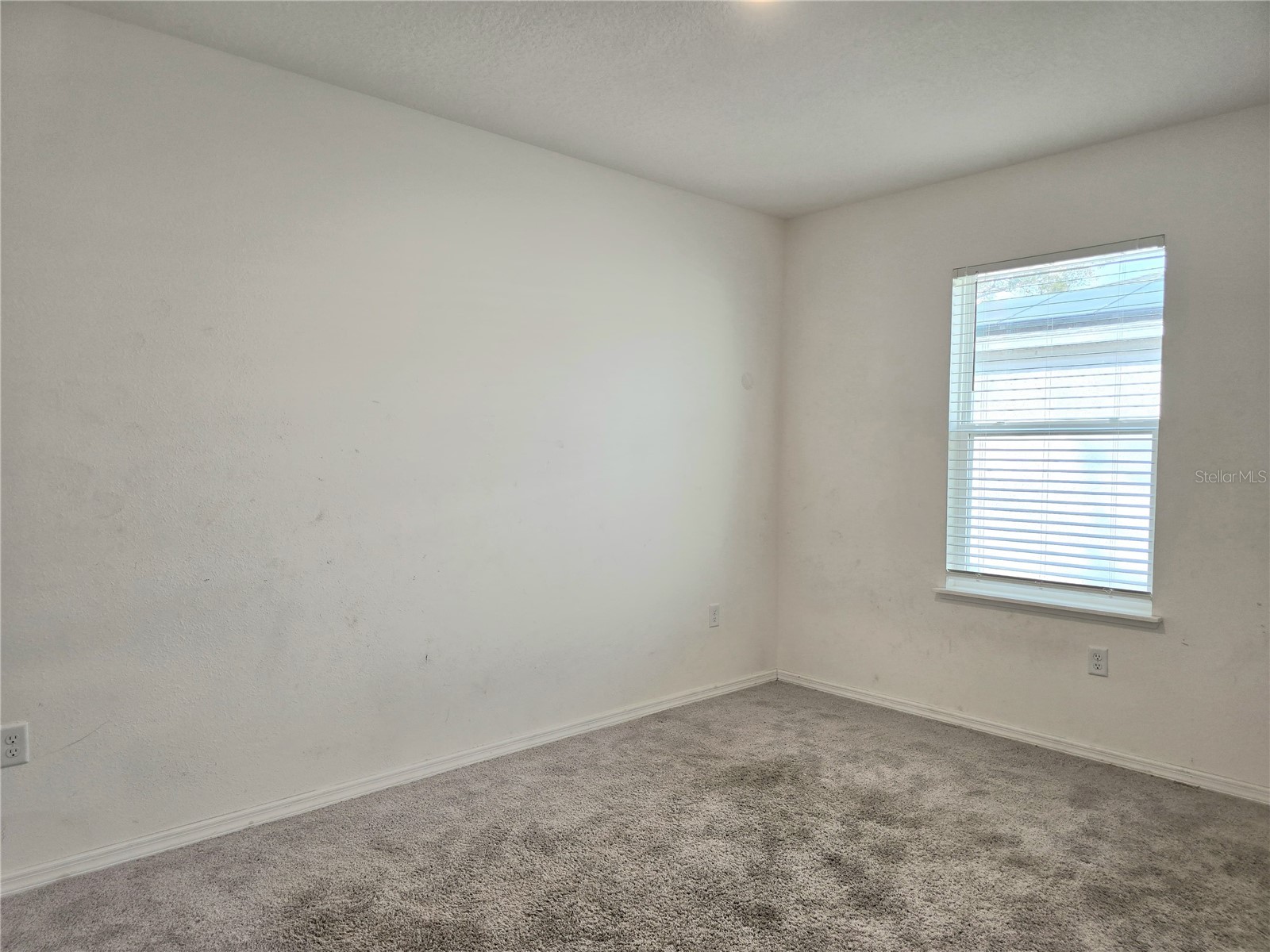 4956 Jackson Street Winter Haven FL 33884 P4937828 image28