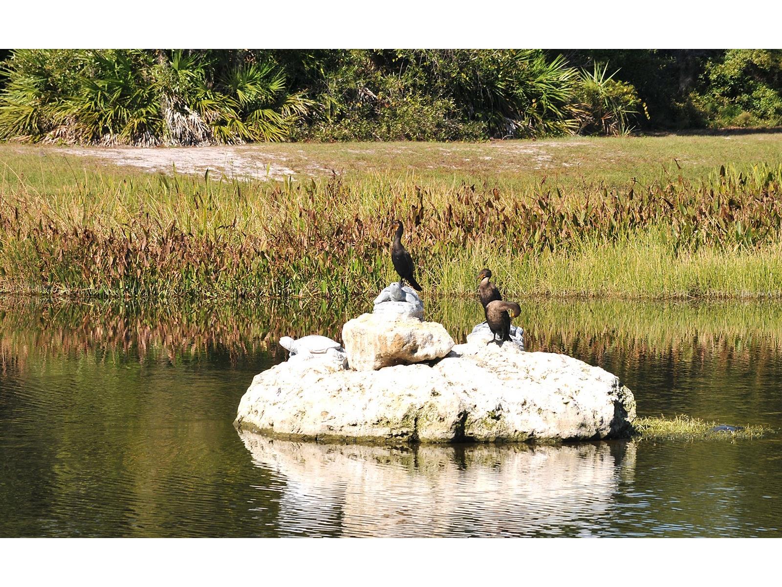 4956 Sabal Lake Circle Sarasota FL 34238 A4693032 image44