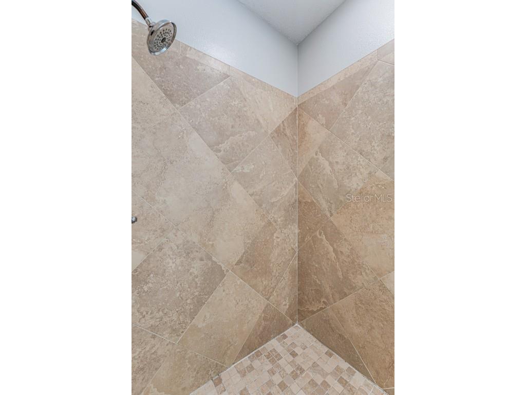 4957 Anniston Circle Tampa FL 33647 TB8454911 image41