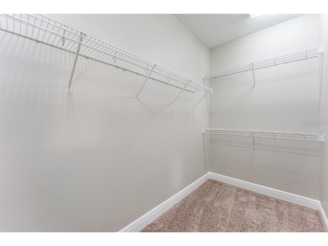 4957 Anniston Circle Tampa FL 33647 TB8454911 image42