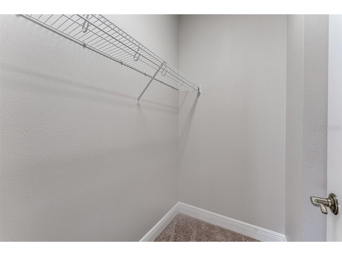 4957 Anniston Circle Tampa FL 33647 TB8454911 image43