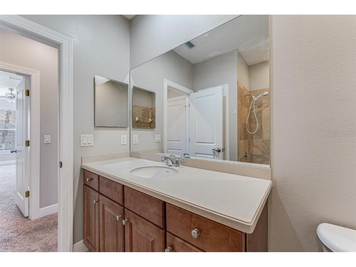 4957 Anniston Circle Tampa FL 33647 TB8454911 image48