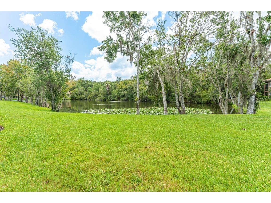 4957 Anniston Circle Tampa FL 33647 TB8454911 image55