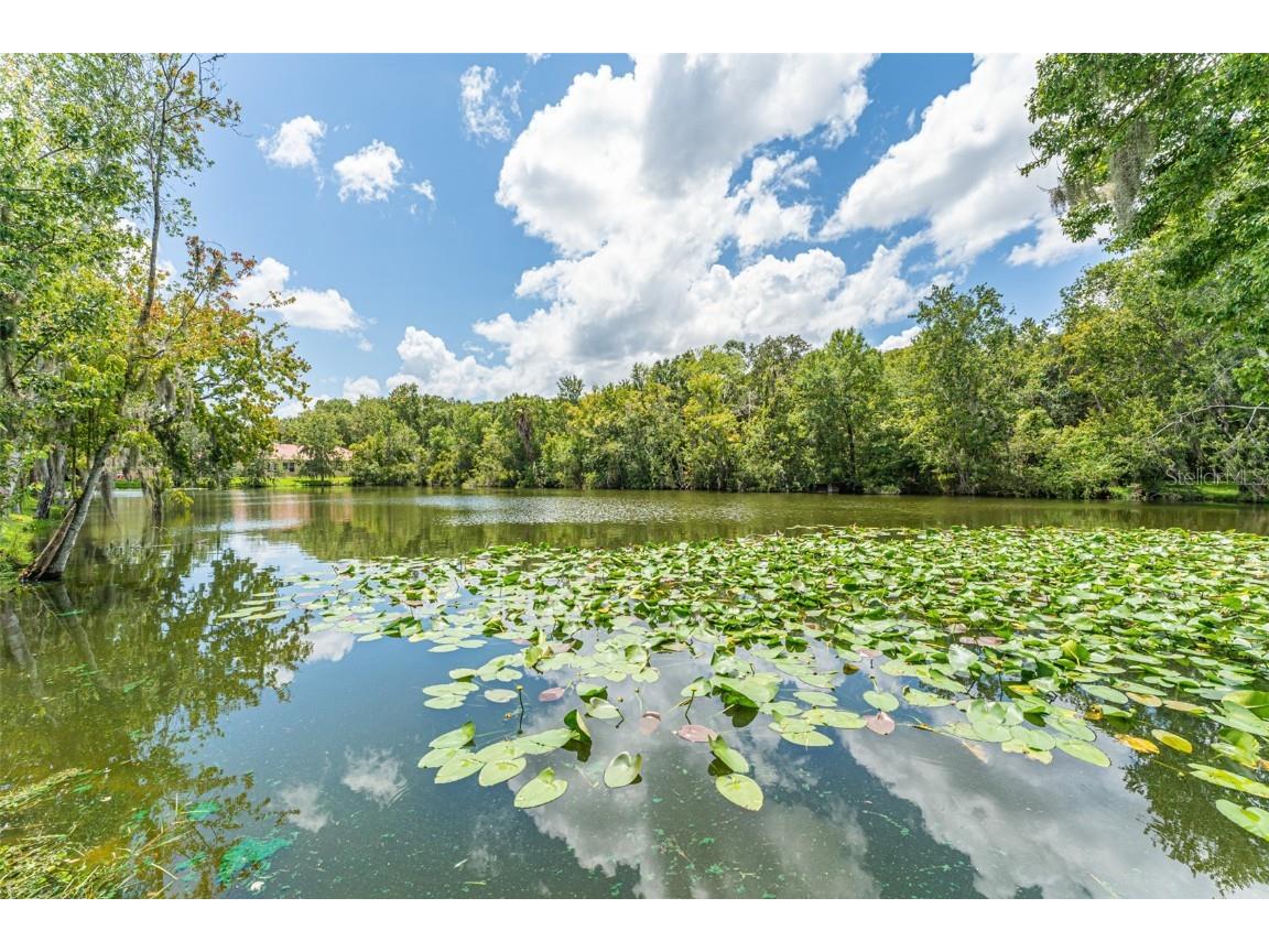 4957 Anniston Circle Tampa FL 33647 TB8454911 image59