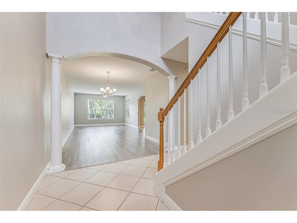 4957 Anniston Circle Tampa FL 33647 TB8454911 image6