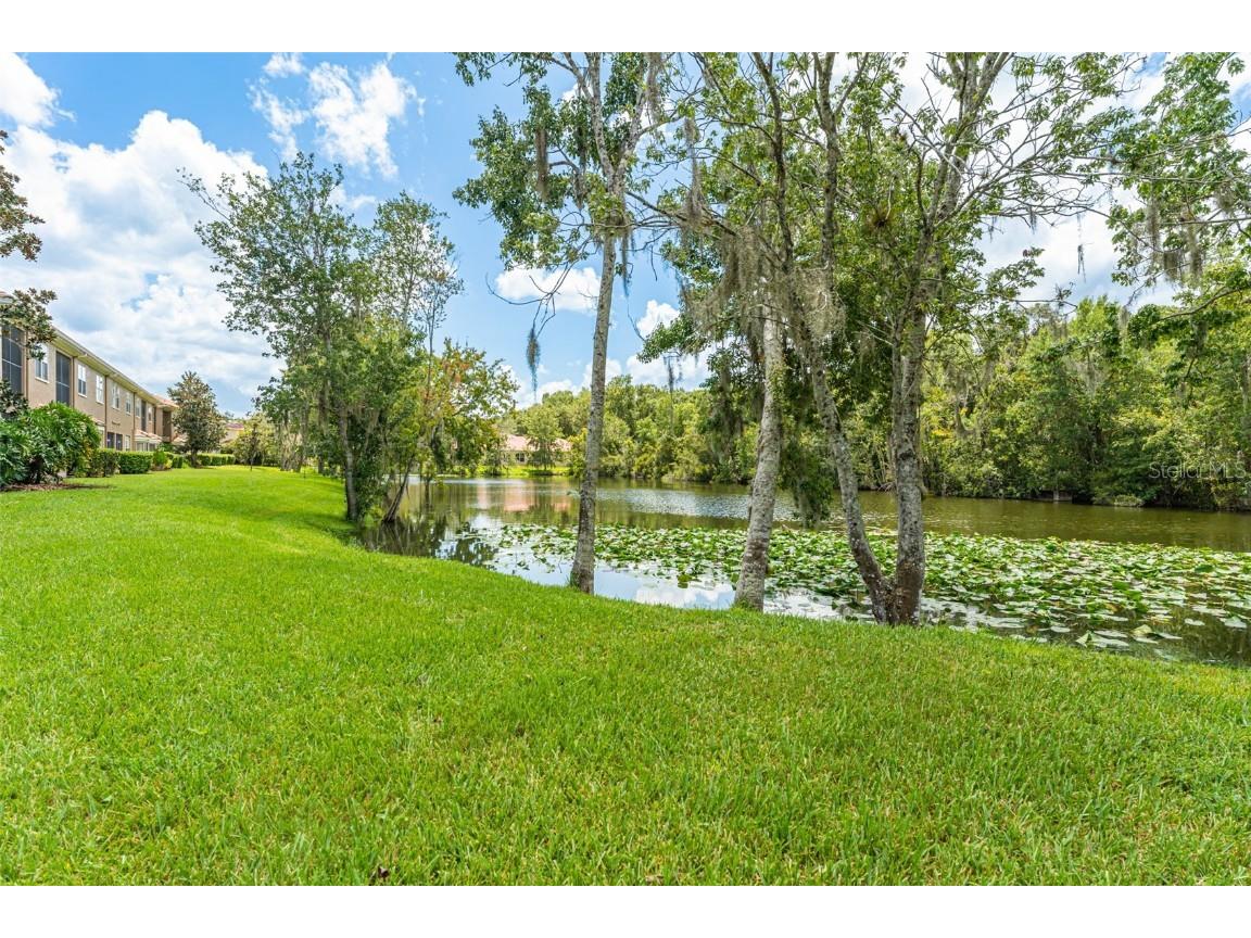 4957 Anniston Circle Tampa FL 33647 TB8454911 image60