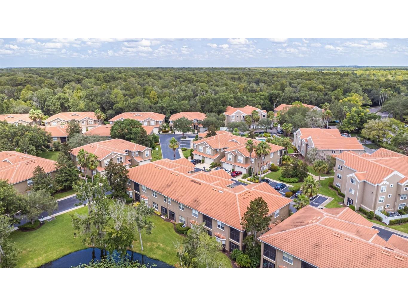 4957 Anniston Circle Tampa FL 33647 TB8454911 image63