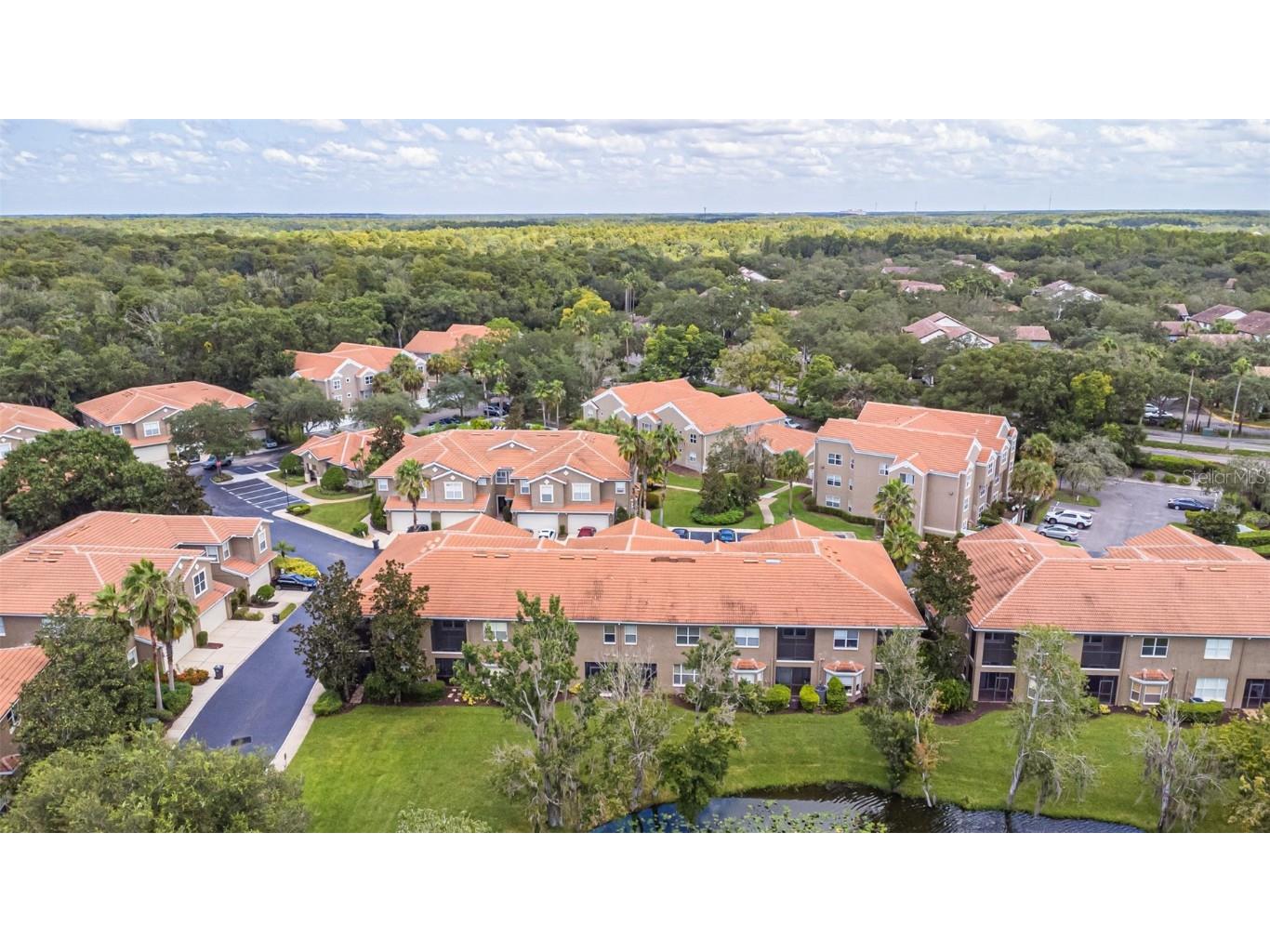 4957 Anniston Circle Tampa FL 33647 TB8454911 image64