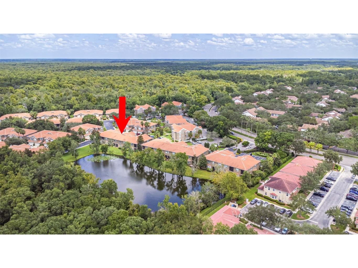 4957 Anniston Circle Tampa FL 33647 TB8454911 image70